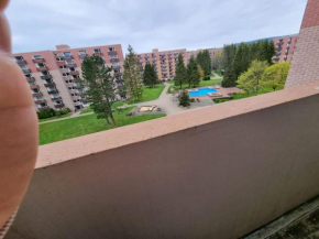 Ferienwohnung Altenau im Harz, Hunde